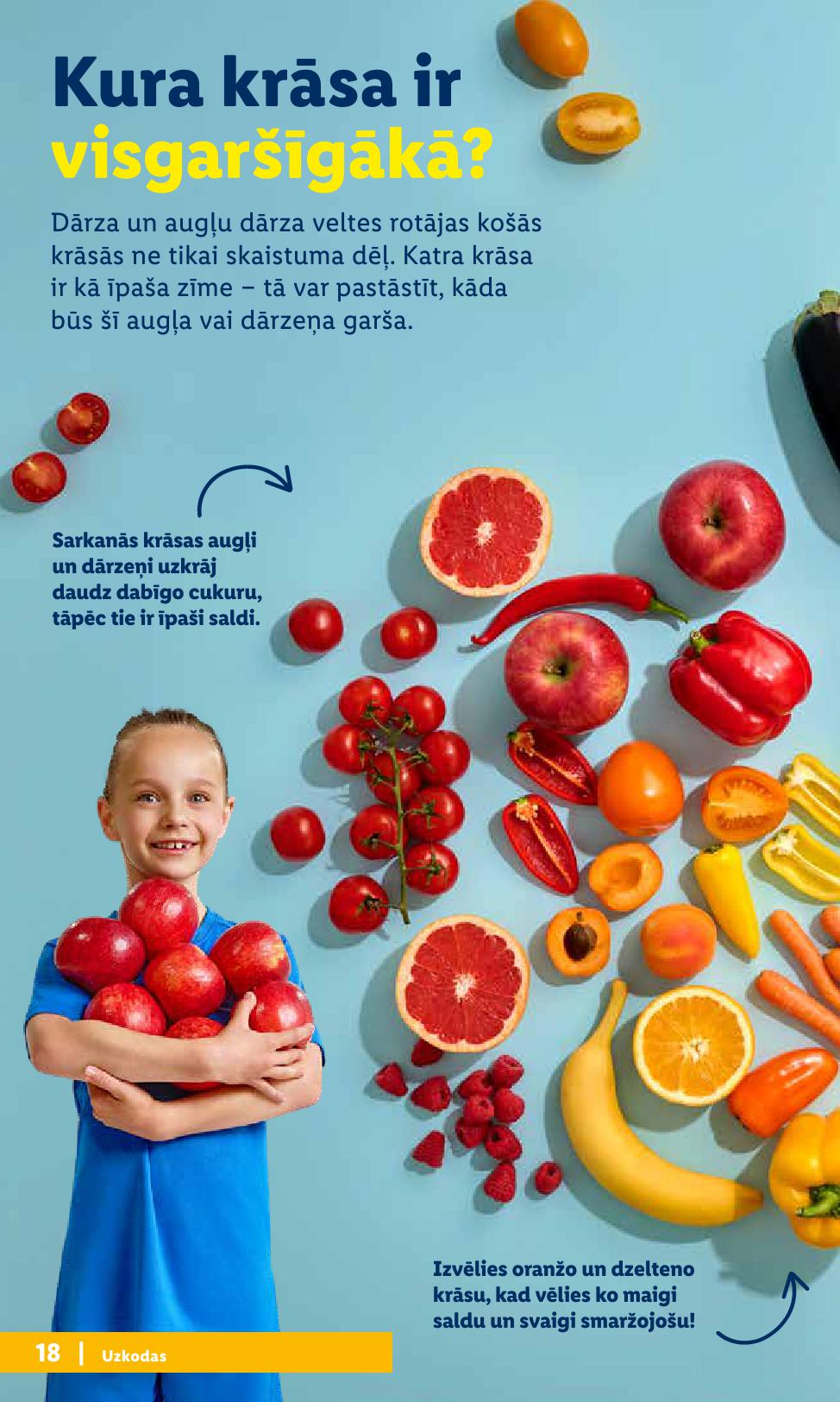 LIDL buklets "Atpakaļ uz skolu"